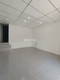 Vista 4