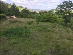 Vista 14
