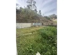 Vista 10