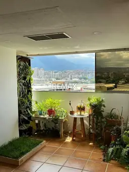 Vista 5