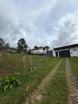 View 8