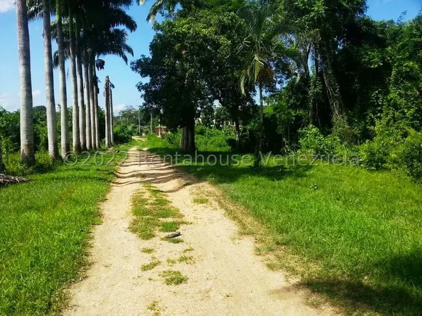 Terreno (Finca) en Venta en Higuerote, Miranda