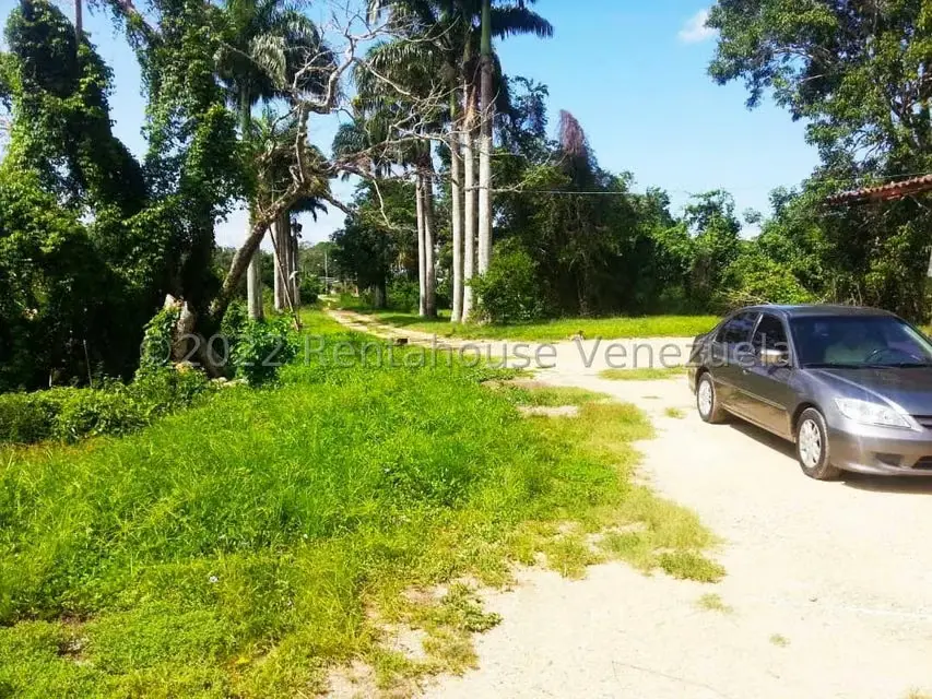 Terreno (Finca) en Venta en Higuerote, Miranda - 11