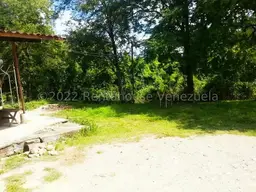 Vista 14