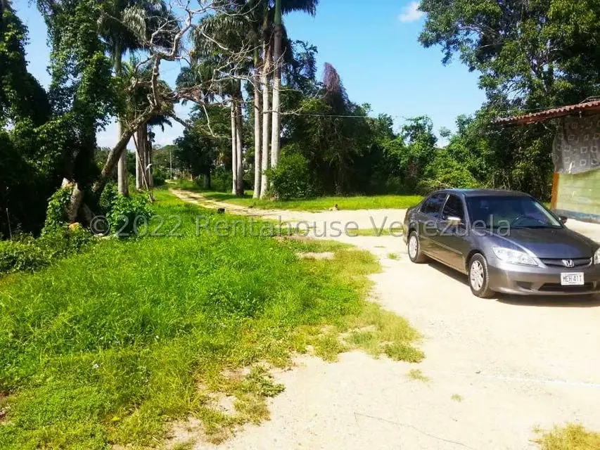 Terreno (Finca) en Venta en Higuerote, Miranda - 17