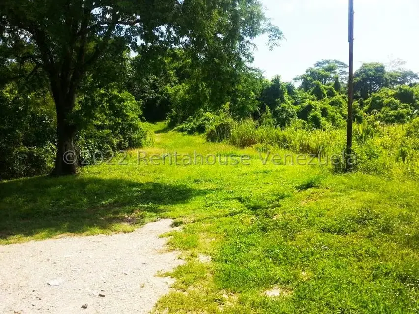 Terreno (Finca) en Venta en Higuerote, Miranda - 18