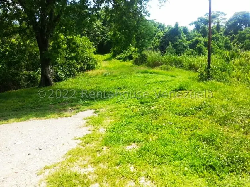 Terreno (Finca) en Venta en Higuerote, Miranda - 22