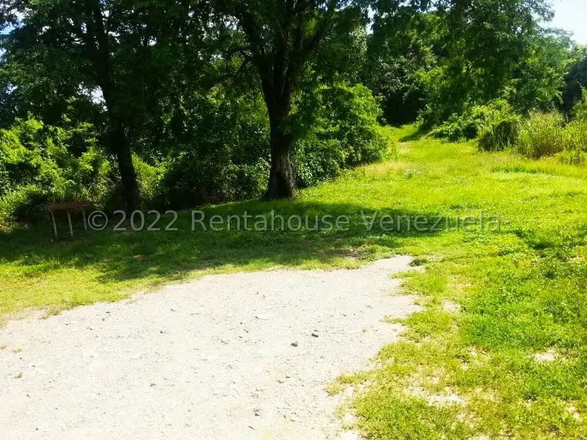 Terreno (Finca) en Venta en Higuerote, Miranda - 26