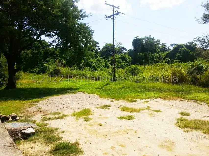 Terreno (Finca) en Venta en Higuerote, Miranda - 29