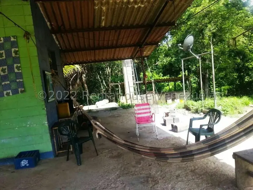 Terreno (Finca) en Venta en Higuerote, Miranda - 31