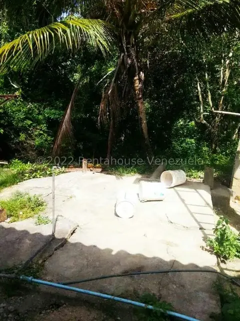 Terreno (Finca) en Venta en Higuerote, Miranda - 32
