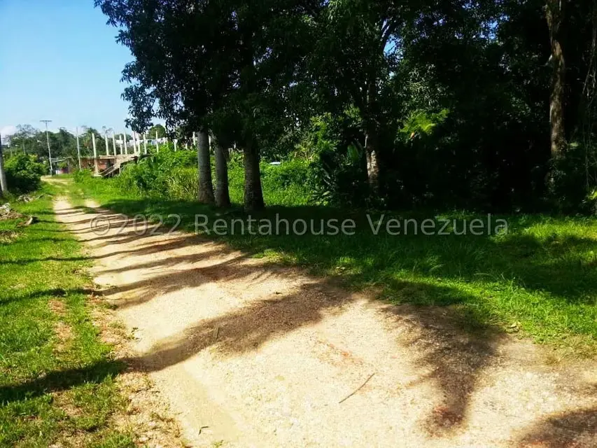 Terreno (Finca) en Venta en Higuerote, Miranda - 35