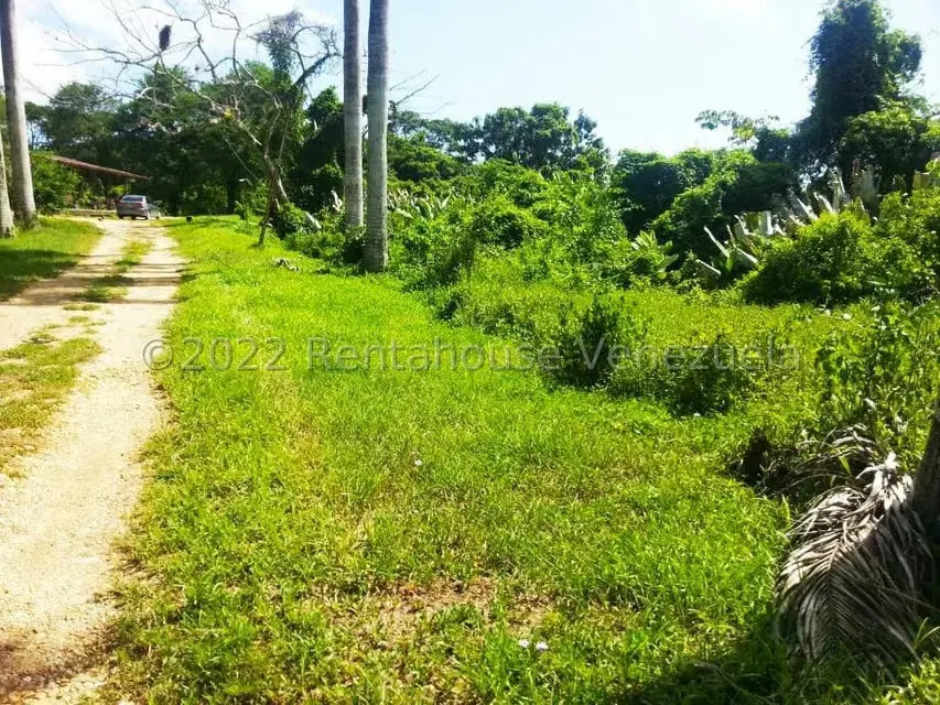 Terreno (Finca) en Venta en Higuerote, Miranda - 38