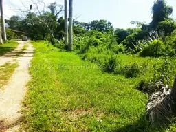 Vista 38