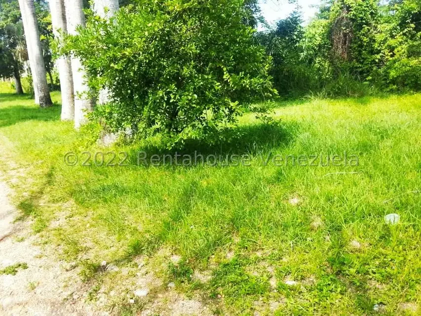 Terreno (Finca) en Venta en Higuerote, Miranda - 40