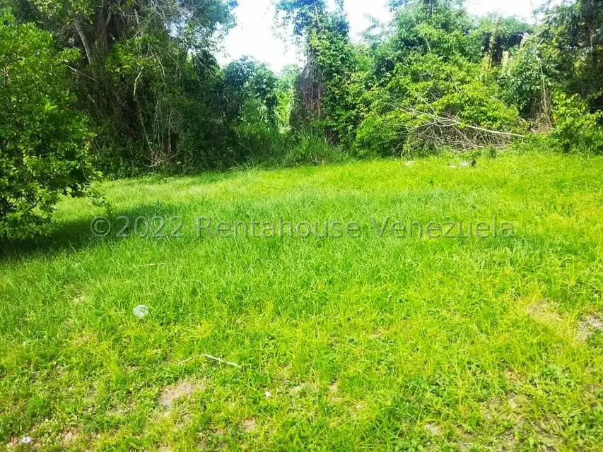 Terreno (Finca) en Venta en Higuerote, Miranda - 41