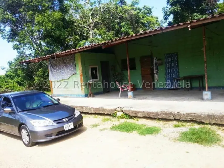 Terreno (Finca) en Venta en Higuerote, Miranda - 44