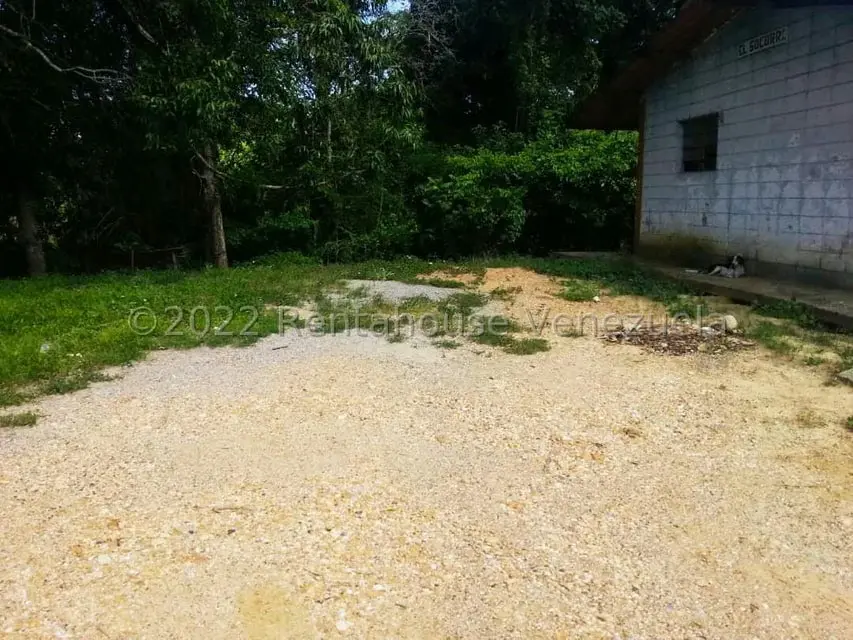 Terreno (Finca) en Venta en Higuerote, Miranda - 45