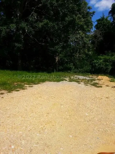 Terreno (Finca) en Venta en Higuerote, Miranda - 46