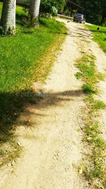 Terreno (Finca) en Venta en Higuerote, Miranda - 47