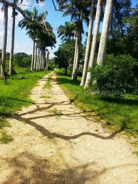 Terreno (Finca) en Venta en Higuerote, Miranda - 48