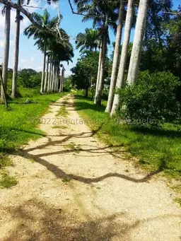 Vista 48