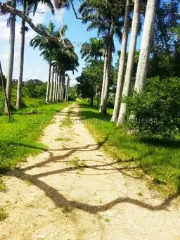 Vista 5