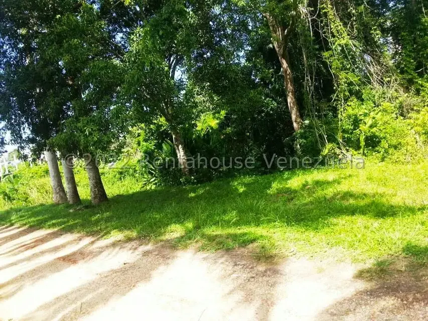 Terreno (Finca) en Venta en Higuerote, Miranda - 51