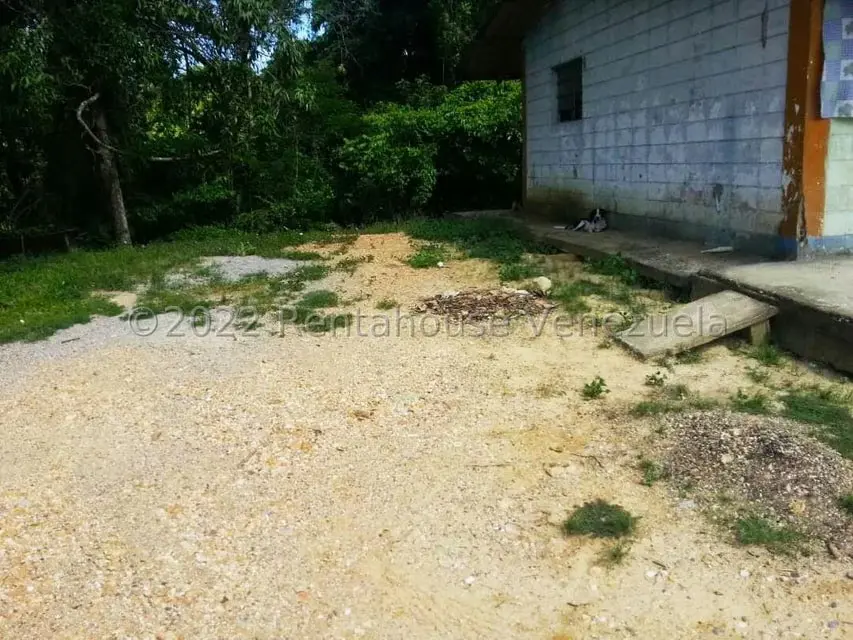 Terreno (Finca) en Venta en Higuerote, Miranda - 53