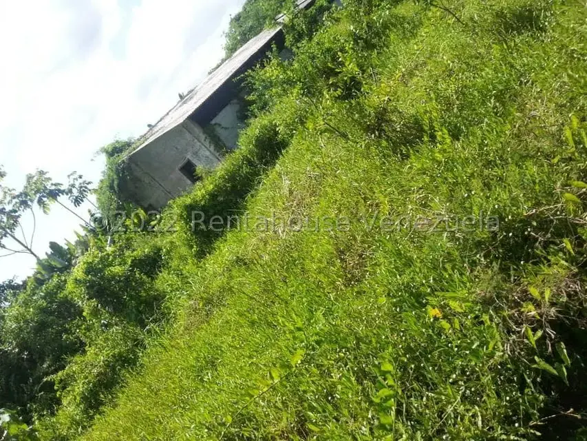 Terreno (Finca) en Venta en Higuerote, Miranda - 54