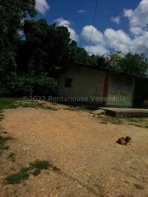 Terreno (Finca) en Venta en Higuerote, Miranda - 55