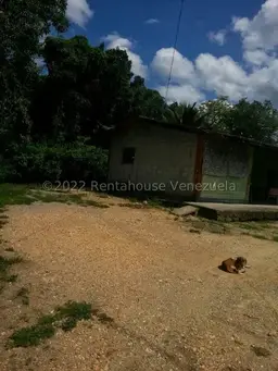 Vista 55