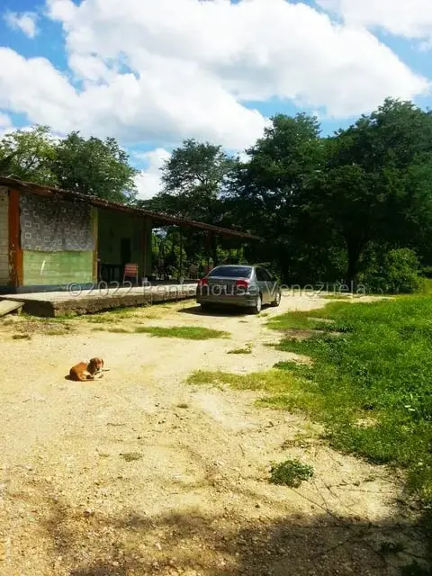 Terreno (Finca) en Venta en Higuerote, Miranda - 56