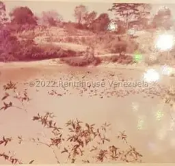 Vista 62