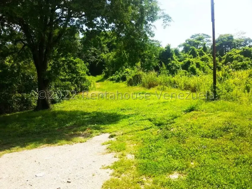 Terreno (Finca) en Venta en Higuerote, Miranda - 8