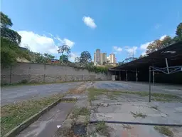 Vista 19