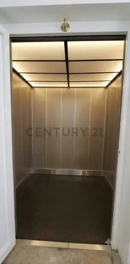Vista 6