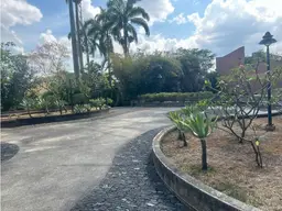 Vista 19