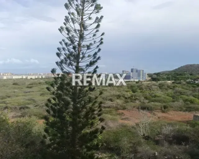 TÚ NUEVO HOGAR TE ESPERA EN LOS ROBLES: CONFORT, DISEÑO MODERNO Y UBICACIÓN ESTRATÉGICA - 13