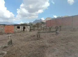 Vista 3