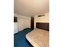 Vista 25