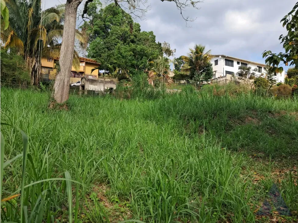 Vendo terreno 1056m2 La Unión 8240 - 4