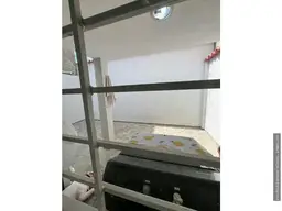 Vista 11