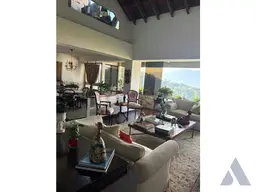 Vista 26