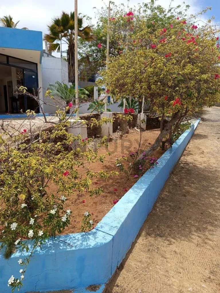Hotel playa El Yaque - 26