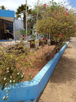 Vista 26