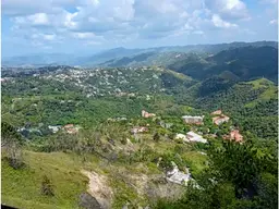 Vista 14