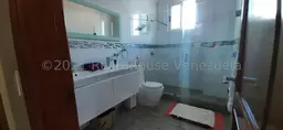 Vista 19