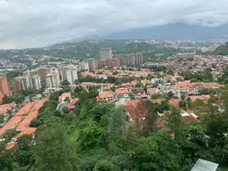 Vista 19