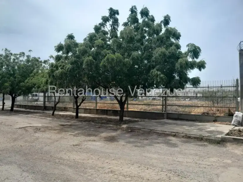 Terreno (Comercial) en Venta en La Velita, Falcon